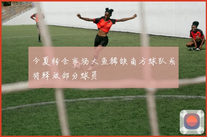 今夏转会市场大鱼稀缺南方球队或将释放部分球员
